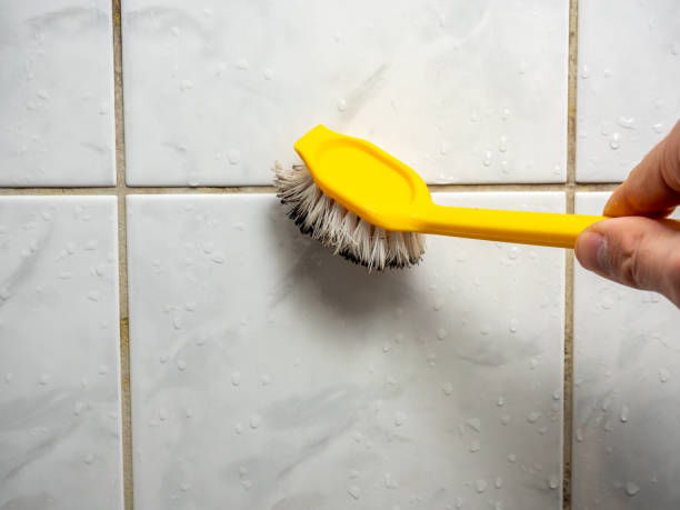 Best Mold Removal Company Near Me  in East Camden, AR